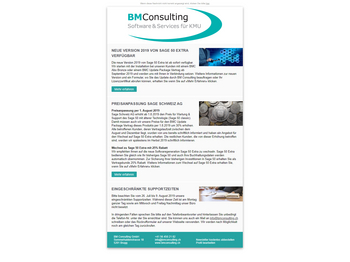 Screenshot Newsletter BM Consulting